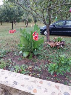 Secluded apartments Srb, Zagora - 22245 - 4