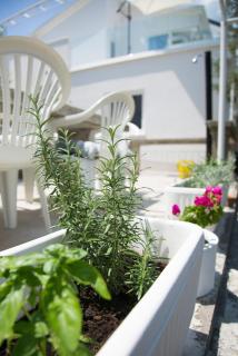 Seaside family friendly house with a swimming pool Okrug Donji, Ciovo - 17587 - 1