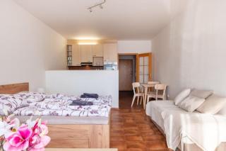 Apartmán IRIS Poděbrady 3 - 3