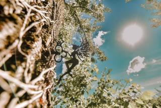 Holiday house with a parking space Mandicevac, Slavonija - 24644 - 2