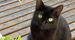 Pousada Caminho da Praia - 4