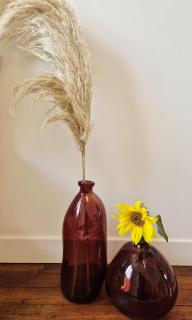 Parenthèse à l'Oasis - 5