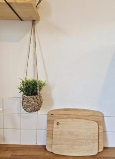 Parenthèse à l'Oasis - 2