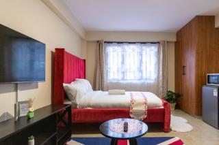 Burgundy Studio with free WI-FI - 4