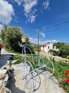 Stefanos Garden3 - 0