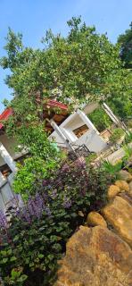 Cinnamon garden villa ahangama - 3