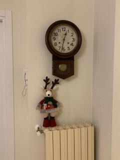 Casa del Teatro appartamento con splendida terrazza di fronte al Teatro Rossini - 7