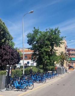 Oasis with private pool in Madrid - 6