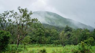 SaffronStays Jerdon's Perch - 8