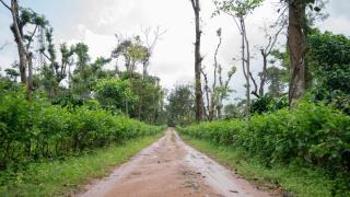 SaffronStays Jerdon's Perch - 3