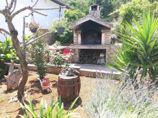 Apartments by the sea Cove Zarace - Gdinj, Hvar - 4596 - 1