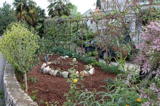 Apartments with a parking space Malinska (Krk) - 5284 - Malinska - 1