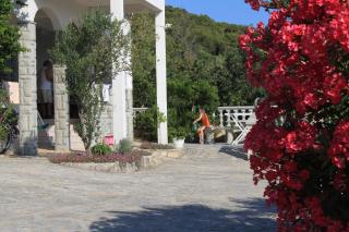 Apartments with parking space Preko, Ugljan - 8224 - 1