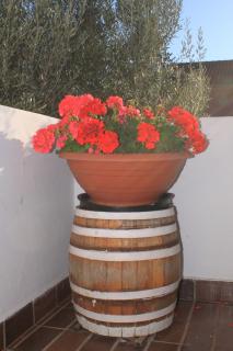 Apartments with a parking space Fazana - 7283 - 1