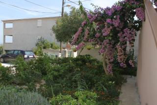 Apartments by the sea Tkon, Pasman - 8455 - Tkon - 1