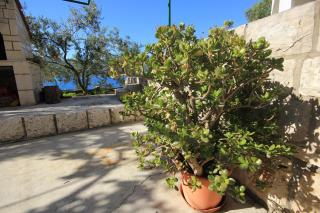 Apartment Tri Zala 174b - 1