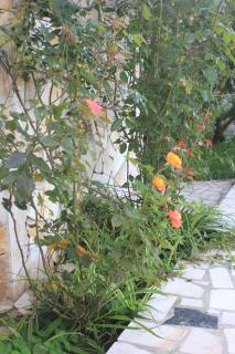 Apartments by the sea Vis - 8930 - 1