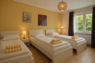 VAJAGIC Apartment 2 mit GartenLounge! Messe, Klinikum, Krupp Krankenhaus - 2