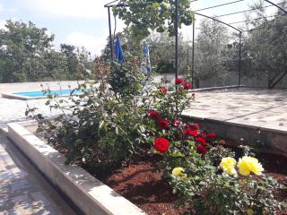 Apartments with a swimming pool Zbandaj, Porec - 14154 - 1