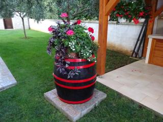 Family friendly apartments with a swimming pool Vinkuran, Pula - 15736 - 2
