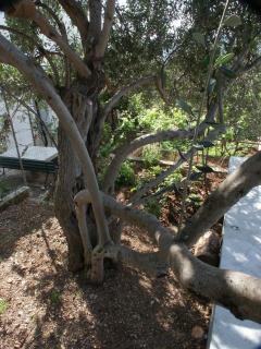 Apartments with parking space Marina, Trogir - 2036 - 1
