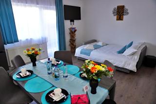 FLH - MIG Loft Sibiu - 2