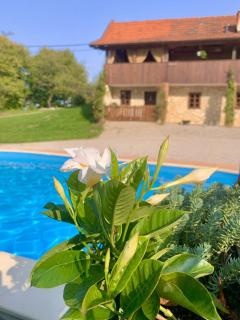 Family friendly house with a swimming pool Novi Marof, Zagorje - 19184 - 3