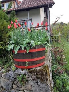 Apartments for families with children Jakovci Netreticki, Karlovac - 20495 - 4