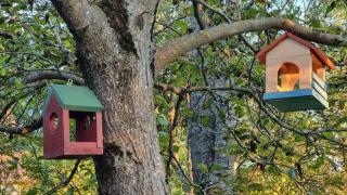 Apartments with parking space Plaski, Velebit - 21935 - 1