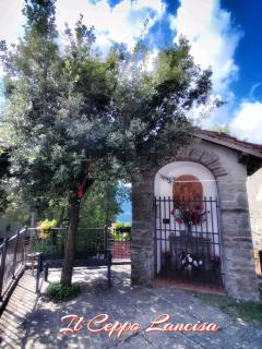 Il Ceppo - Spignana - 9