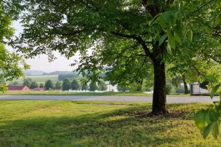 Holiday house with a parking space Zarilac, Slavonija - 23028 - 6