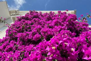 Apartments with parking space Vir - 23221 - 2