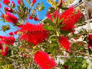 Apartments with parking space Vir - 23221 - 3