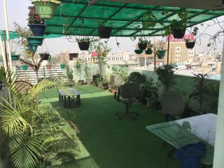 Green Bacchus Self Check In - 8