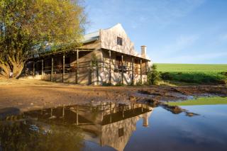 Dassenheuwel Farm Stay - house - 8