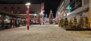 Arctic Cityhome-Snowy Cloudberry - 8