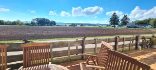 "An der Kapelle" Ferienwohnung in Mechernich OT Holzheim - 8