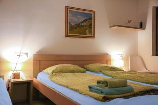 Triglav NP Apartment - above Bled - 2