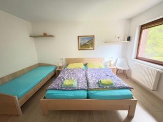 Triglav NP Apartment - above Bled - 1