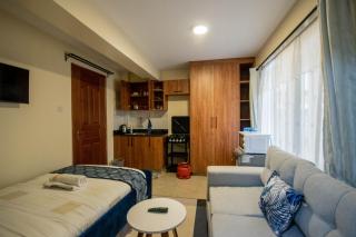 Cyan Studio with free WI-FI - 4