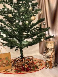 Warm Wooden Home in Rovaniemi - 8