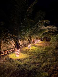 Ocean Mist Farm Stay, Vizag - Bhīmunipatnam - 6