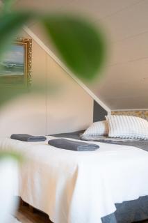 Ainola Arctic Hillside - 7