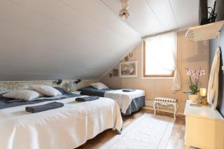 Ainola Arctic Hillside - 0