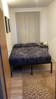 The Calm Quarters - 0