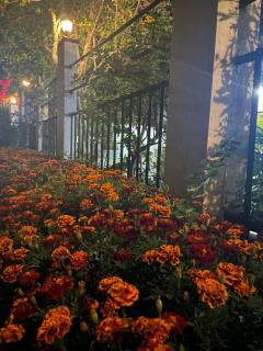 Penthouse Bandarawela - 2