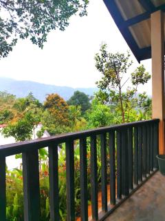 Rainforest Nature House - 3