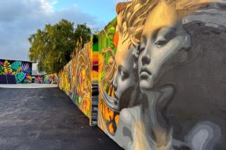 Fathill Finca - Tamaide - 2