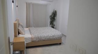 Aqua palms - 2