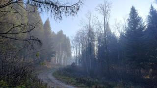 Szept - Biały Domek - 5